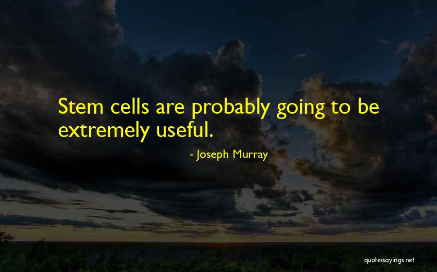 Borjan Logo Quotes By Joseph Murray Borjan Logo Quotes By Joseph Murray