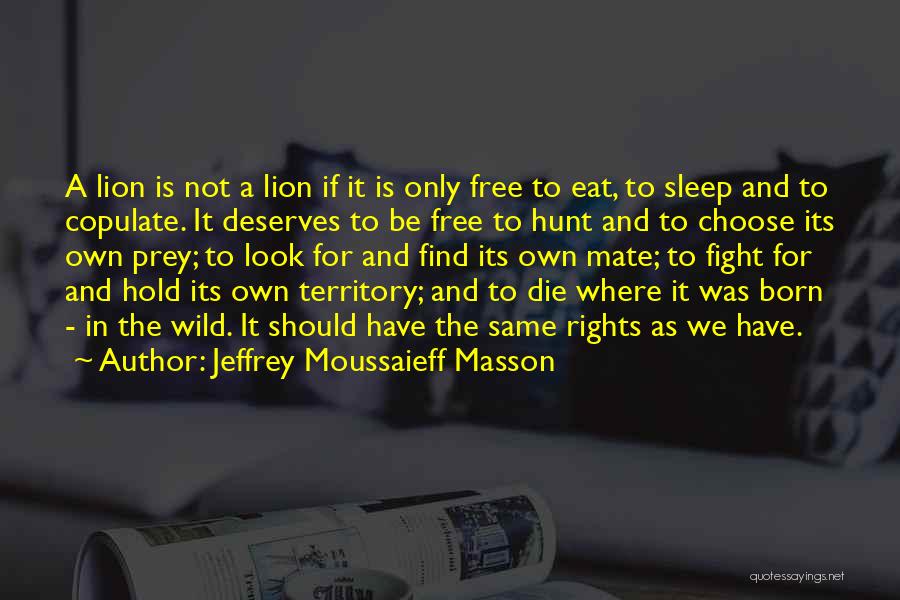 Born A Lion Quotes By Jeffrey Moussaieff Masson