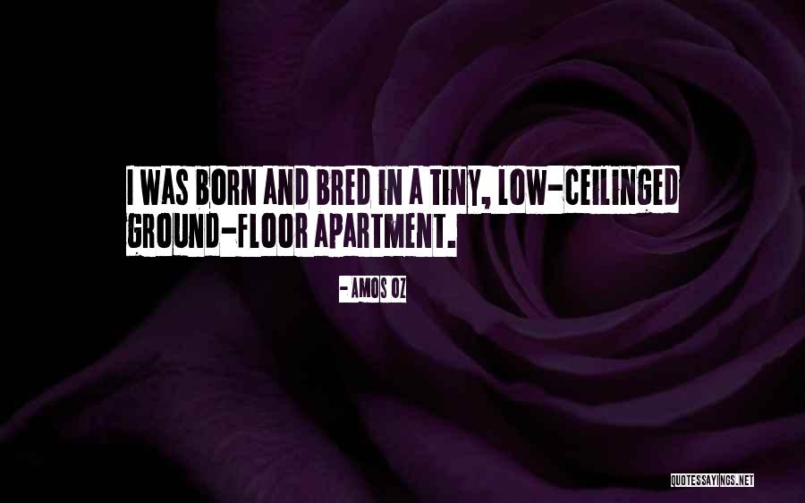 Born And Bred Quotes By Amos Oz Born And Bred Quotes By Amos Oz