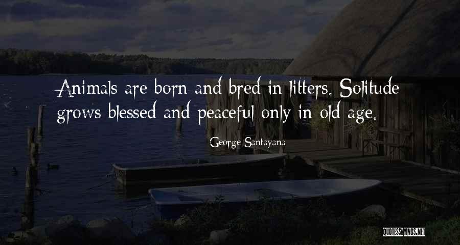 Born And Bred Quotes By George Santayana Born And Bred Quotes By George Santayana