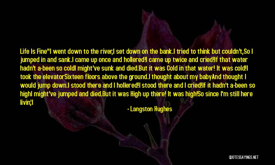 Born Baby Quotes By Langston Hughes