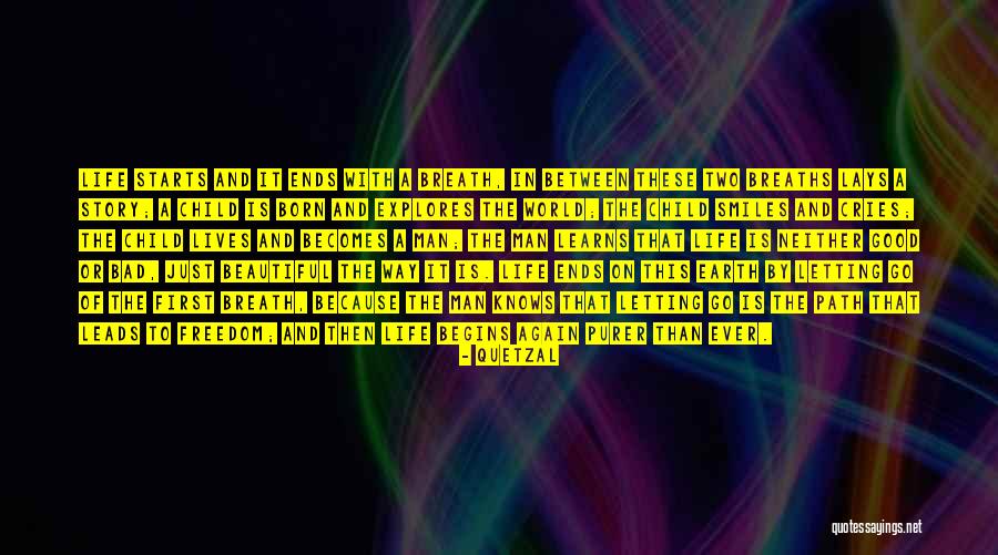 Born Beautiful Quotes By Quetzal Born Beautiful Quotes By Quetzal
