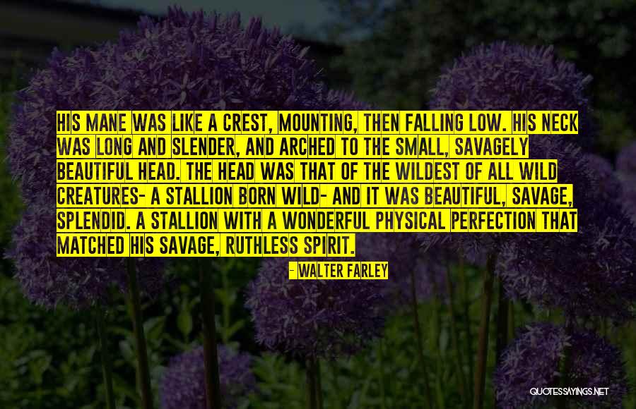 Born Beautiful Quotes By Walter Farley Born Beautiful Quotes By Walter Farley