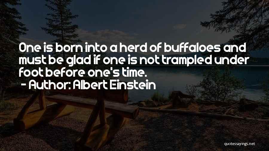 Born Before Quotes By Albert Einstein