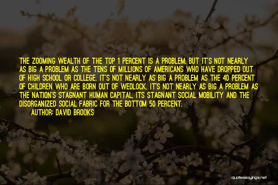 Born Into Wealth Quotes By David Brooks