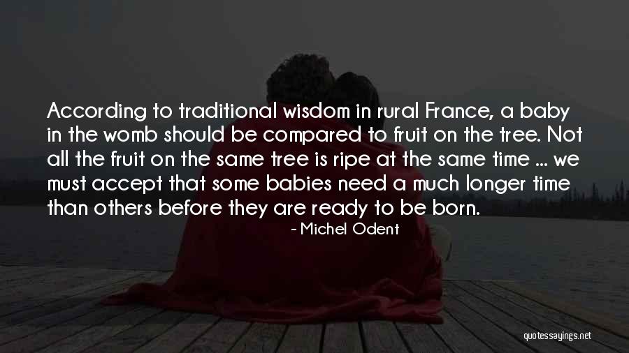 Born Ready Quotes By Michel Odent