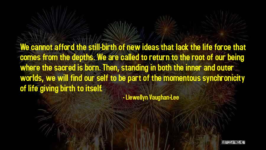 Born Standing Up Quotes By Llewellyn Vaughan-Lee