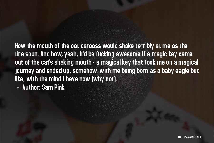 Born To Be Awesome Quotes By Sam Pink
