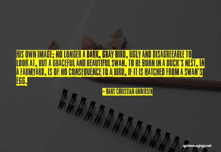 Born To Be Beautiful Quotes By Hans Christian Andersen Born To Be Beautiful Quotes By Hans Christian Andersen