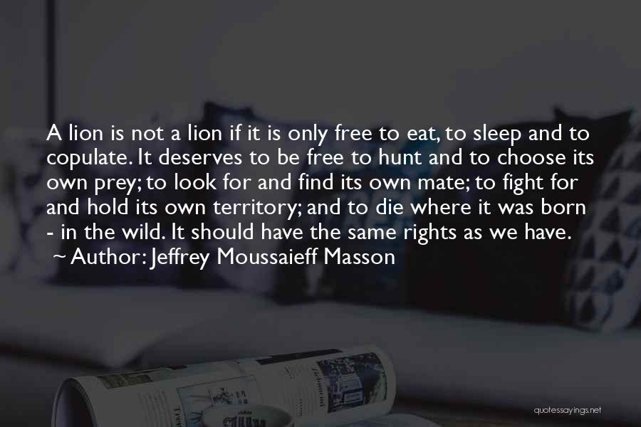 Born To Be Wild Quotes By Jeffrey Moussaieff Masson