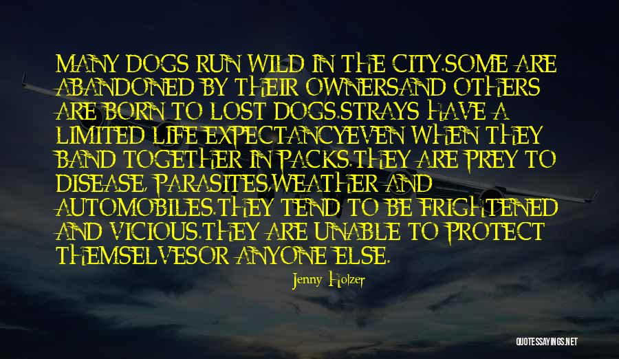 Born To Be Wild Quotes By Jenny Holzer Born To Be Wild Quotes By Jenny Holzer