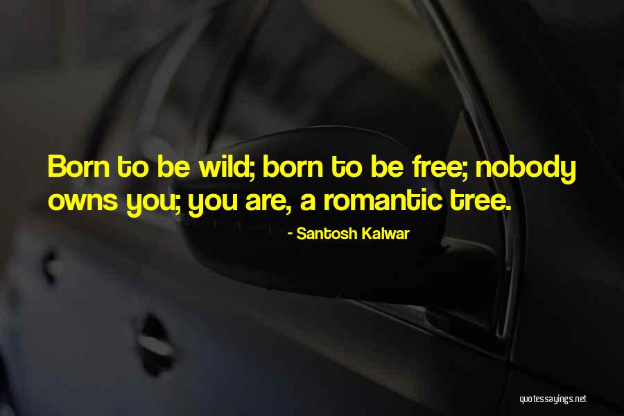 Born To Be Wild Quotes By Santosh Kalwar