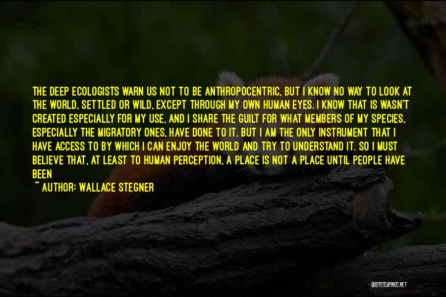 Born To Be Wild Quotes By Wallace Stegner