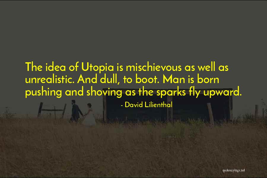 Born To Fly Quotes By David Lilienthal Born To Fly Quotes By David Lilienthal