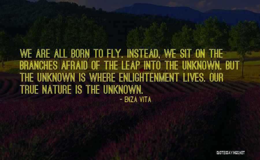 Born To Fly Quotes By Enza Vita