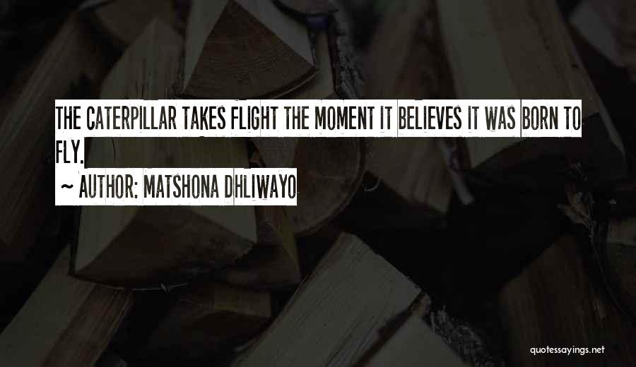 Born To Fly Quotes By Matshona Dhliwayo