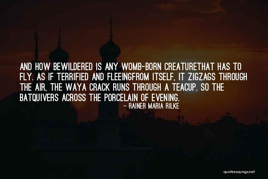 Born To Fly Quotes By Rainer Maria Rilke