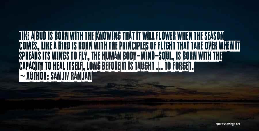 Born To Fly Quotes By Sanjiv Ranjan