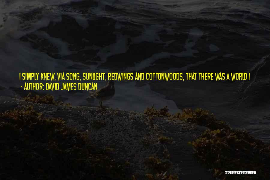 Born To Get Hurt Quotes By David James Duncan
