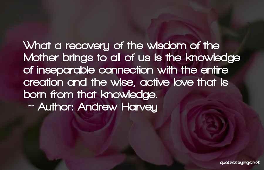 Born To Quotes By Andrew Harvey