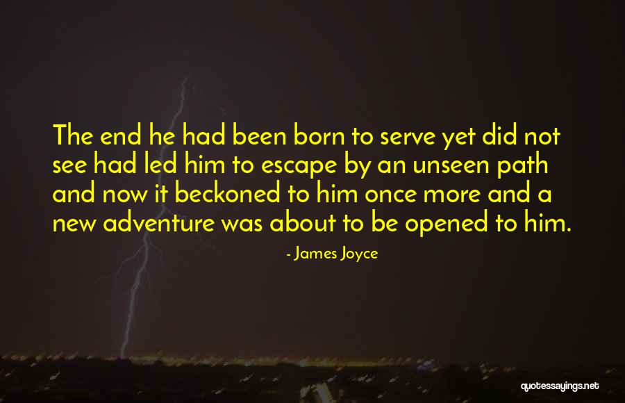 Born To Serve Quotes By James Joyce