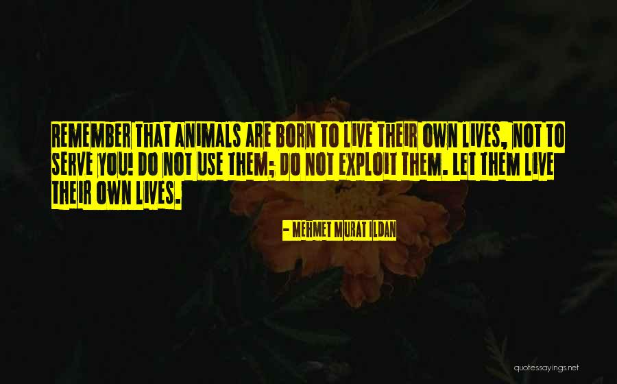 Born To Serve Quotes By Mehmet Murat Ildan