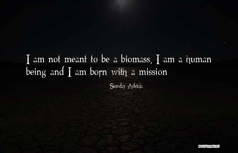 Born With A Purpose Quotes By Sunday Adelaja