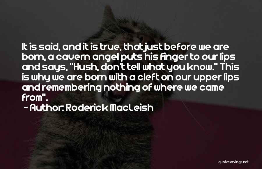 Born With Nothing Quotes By Roderick MacLeish