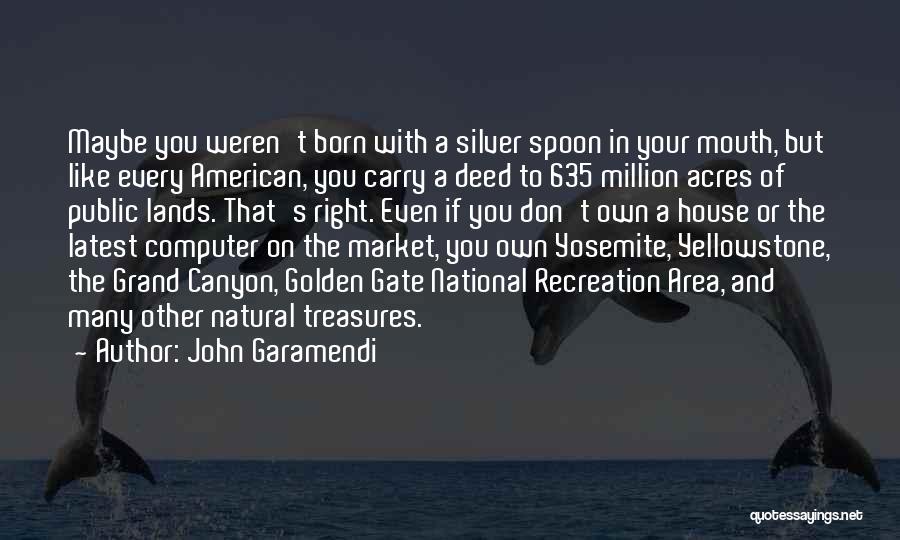 Born With Silver Spoon Quotes By John Garamendi