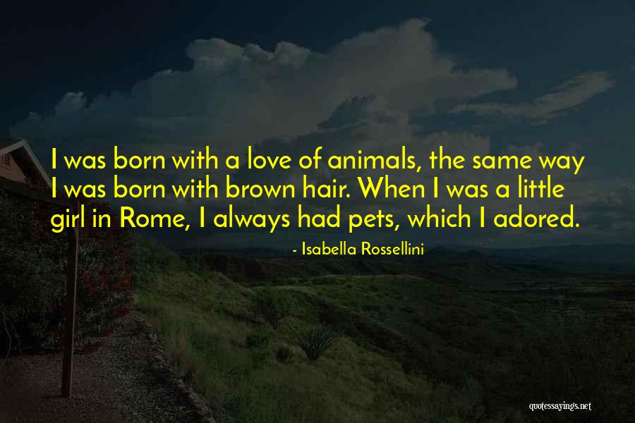 Bornschein Electric Quotes By Isabella Rossellini Bornschein Electric Quotes By Isabella Rossellini