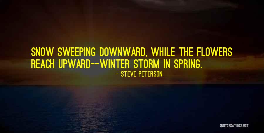 Borodin String Quotes By Steve Peterson Borodin String Quotes By Steve Peterson