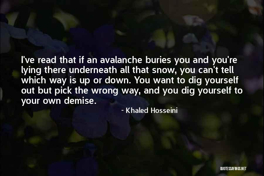 Borodina Plant Quotes By Khaled Hosseini Borodina Plant Quotes By Khaled Hosseini