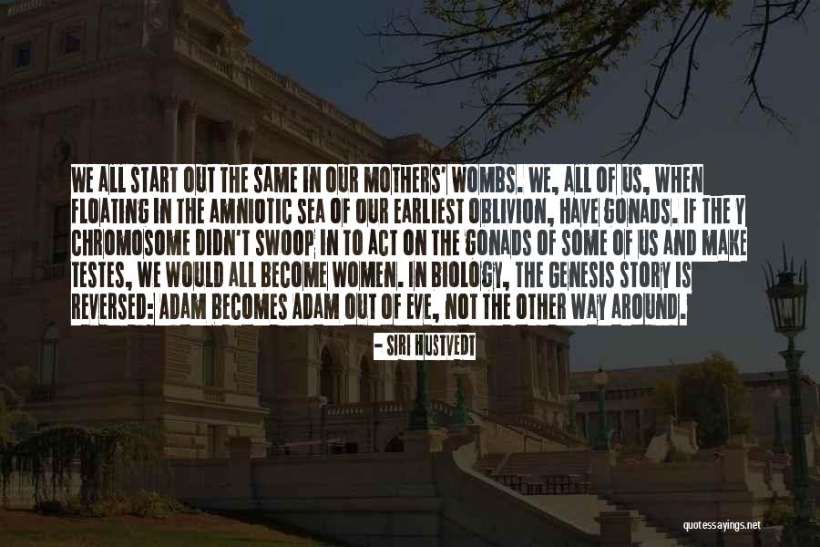 Boroumand Quotes By Siri Hustvedt Boroumand Quotes By Siri Hustvedt