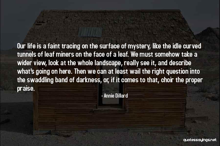 Borowik Szatanski Quotes By Annie Dillard Borowik Szatanski Quotes By Annie Dillard
