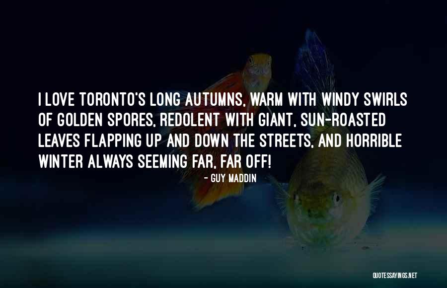 Borowsky For Mayor Quotes By Guy Maddin Borowsky For Mayor Quotes By Guy Maddin