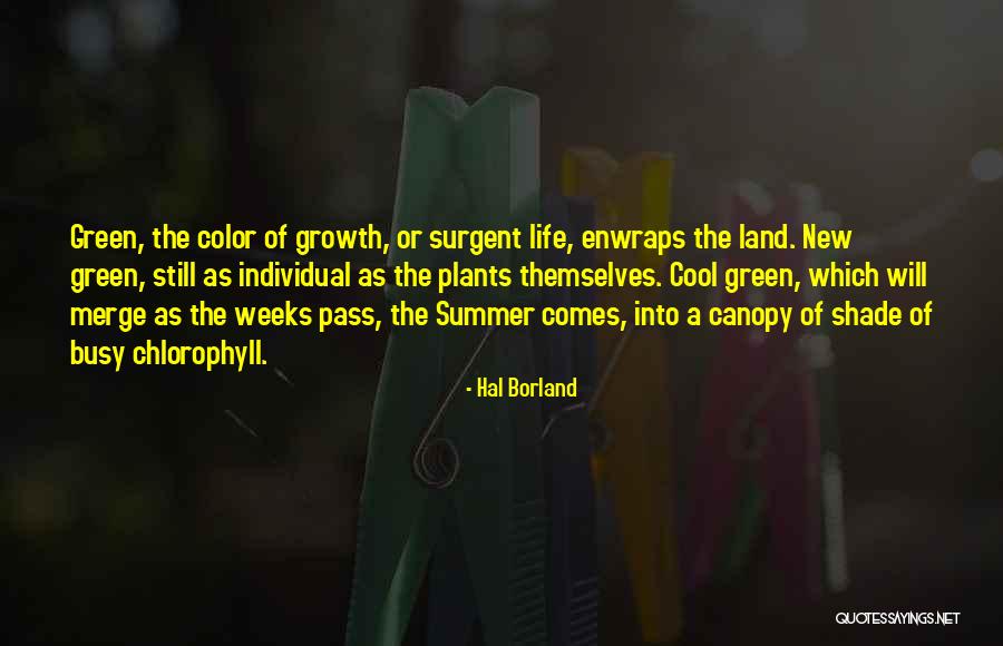 Borowsky For Mayor Quotes By Hal Borland Borowsky For Mayor Quotes By Hal Borland