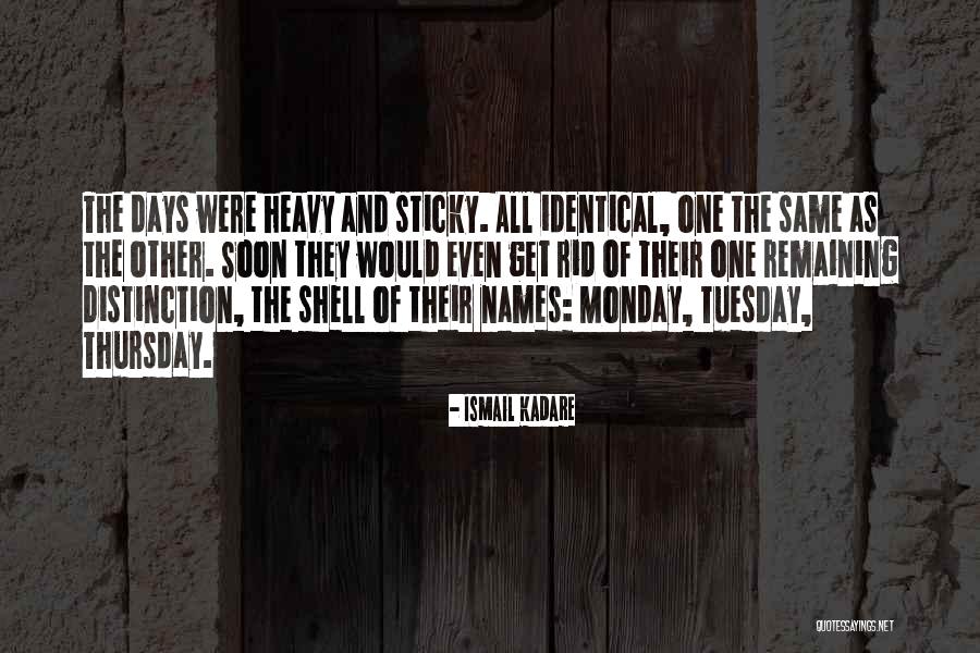 Borowy Mlyn Quotes By Ismail Kadare Borowy Mlyn Quotes By Ismail Kadare