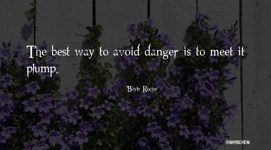 Borrar Las P Ginas Quotes By Boyle Roche Borrar Las P Ginas Quotes By Boyle Roche
