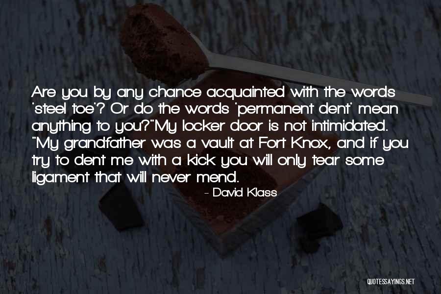 Borrica Quotes By David Klass Borrica Quotes By David Klass