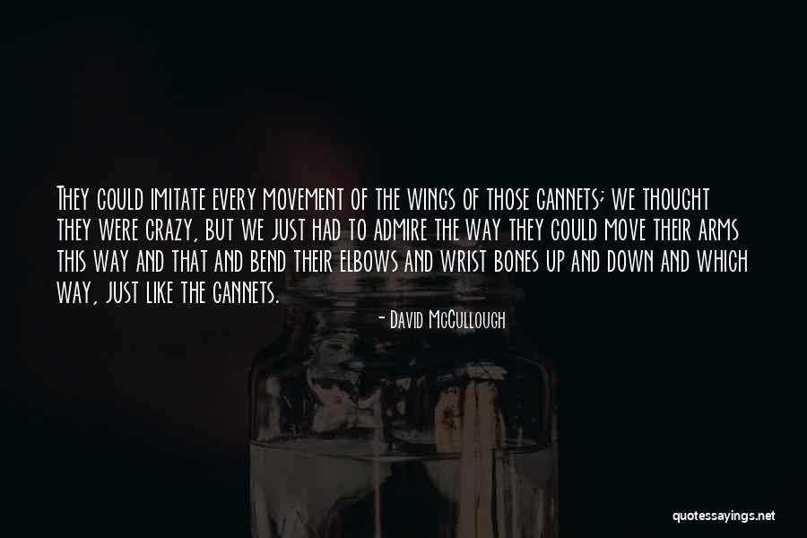 Borromini Architecture Quotes By David McCullough Borromini Architecture Quotes By David McCullough