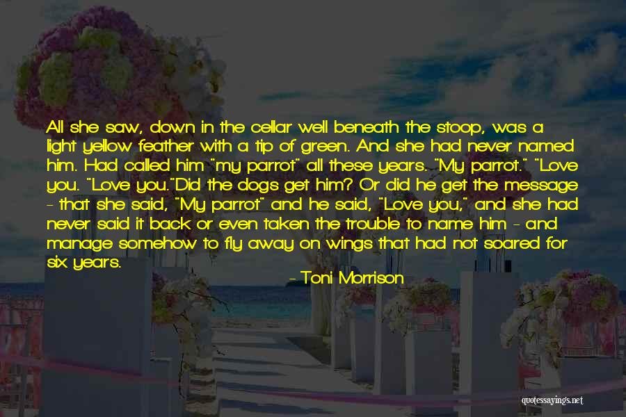 Borroso En Quotes By Toni Morrison Borroso En Quotes By Toni Morrison