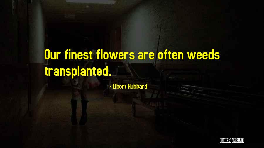 Borroso Mezcal Quotes By Elbert Hubbard Borroso Mezcal Quotes By Elbert Hubbard