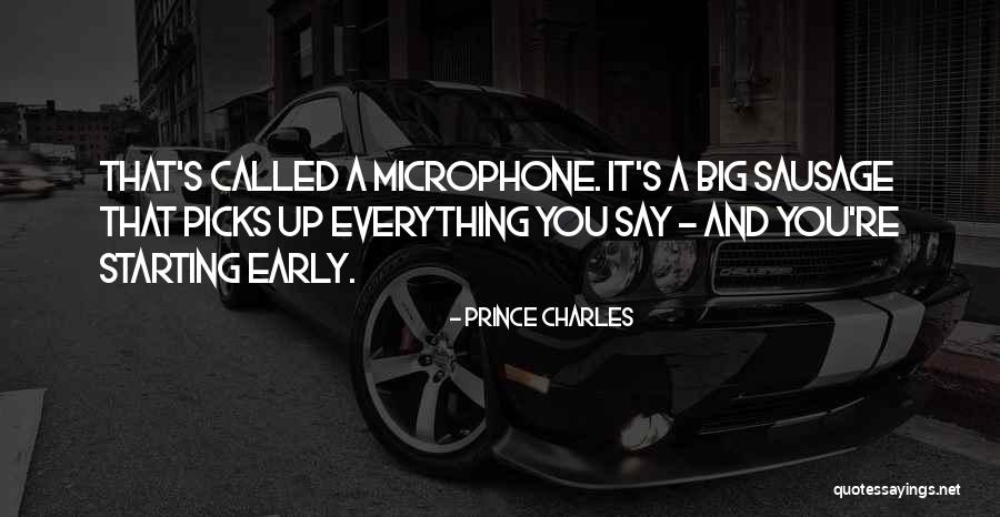 Borrowed Angel Quotes By Prince Charles