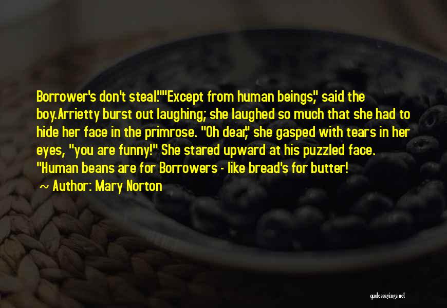 Borrowers Quotes By Mary Norton