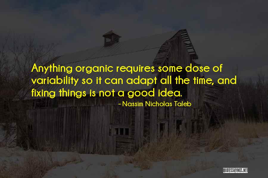 Borsello Samsonite Quotes By Nassim Nicholas Taleb Borsello Samsonite Quotes By Nassim Nicholas Taleb