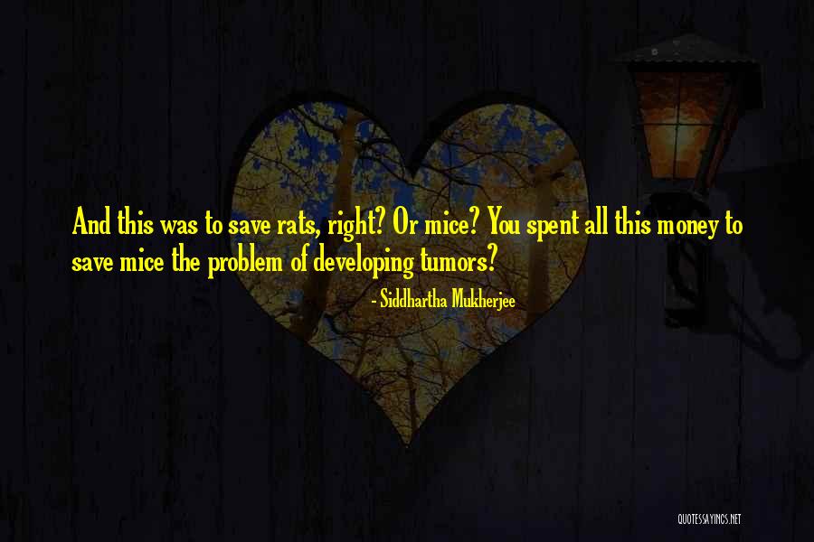 Bortolotto Design Quotes By Siddhartha Mukherjee Bortolotto Design Quotes By Siddhartha Mukherjee