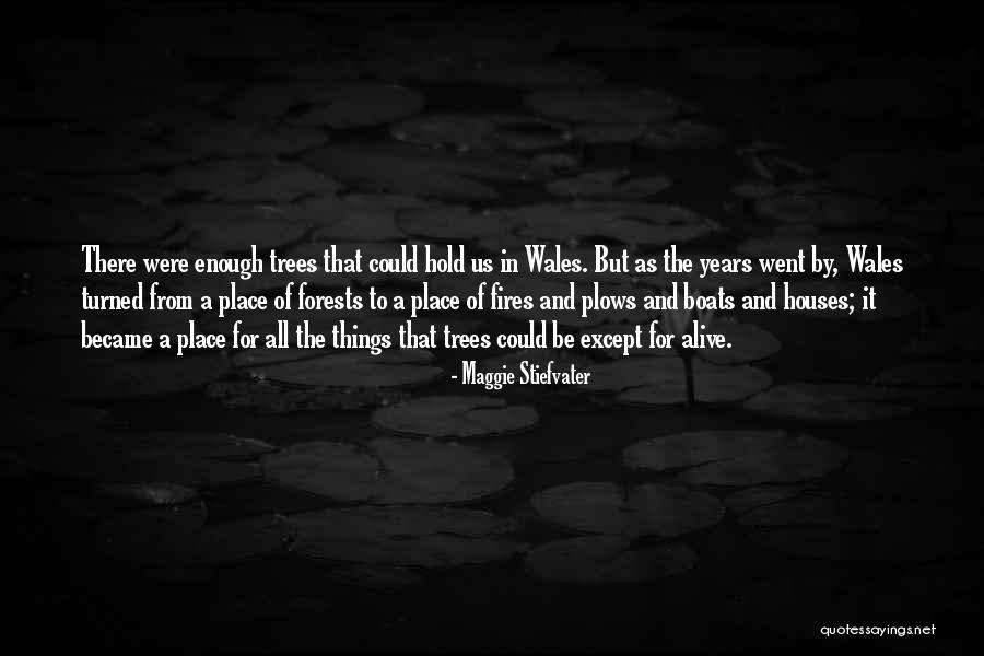 Borucki Rotoworld Quotes By Maggie Stiefvater Borucki Rotoworld Quotes By Maggie Stiefvater