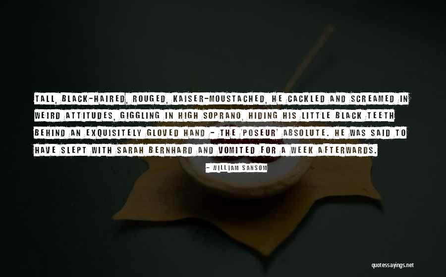 Borzini Sand Quotes By William Sansom Borzini Sand Quotes By William Sansom
