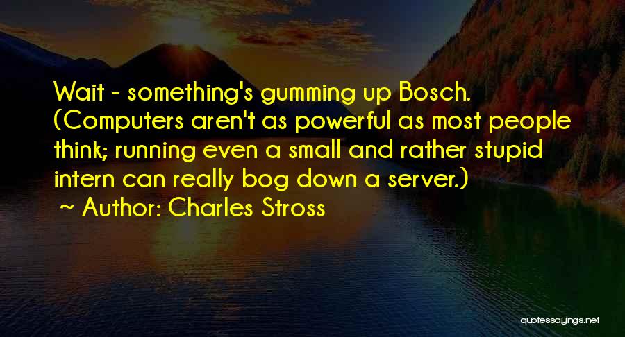 Bosch Quotes By Charles Stross