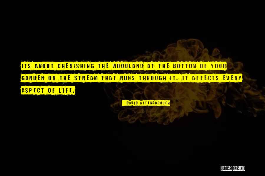 Boskind Quotes By David Attenborough Boskind Quotes By David Attenborough